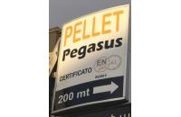 Core Pellet – Pellet Pegasus (Terni) logo