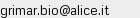 Indirizzo email